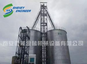 非洲客戶鋼板倉(cāng)完工