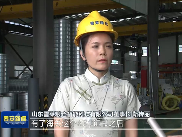 緊跟政策風(fēng)向，把握跨海之帆-雪萊將以滿腔熱情讓世界愛上中國造